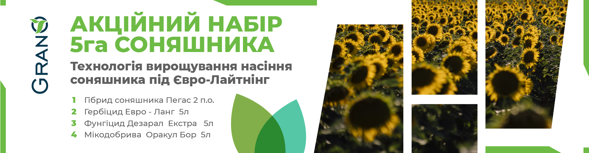 Євролайтинг