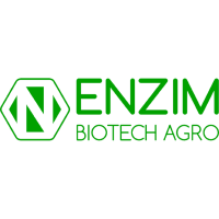Enzim