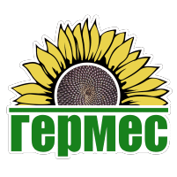 Гермес