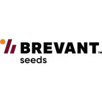 Brevant