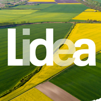 Lidea