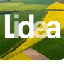 Лідеа