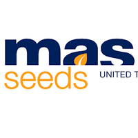 MAS Seeds