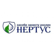 Нертус