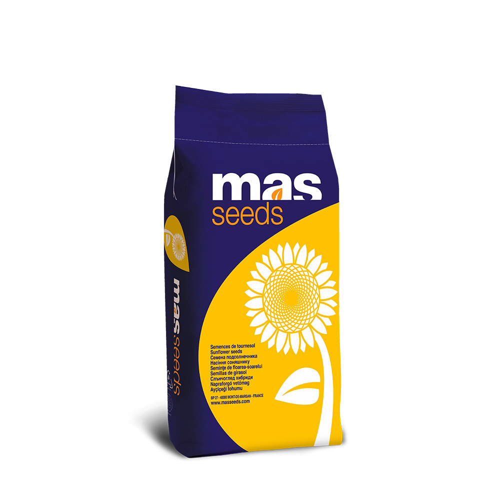 Насіння соняшнику МАС 97.А (MAS 97.A)