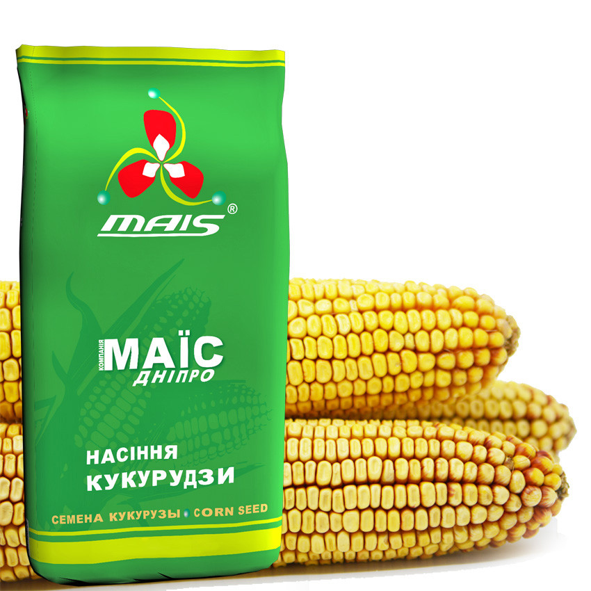Насіння кукурудзи ДМС1915 ФАО-220