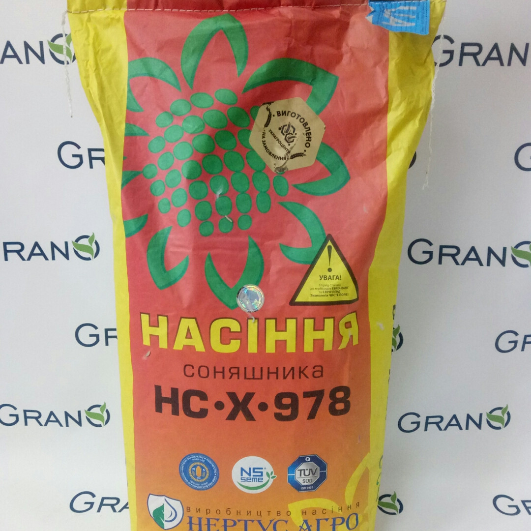 Насіння соняшника НСХ 978